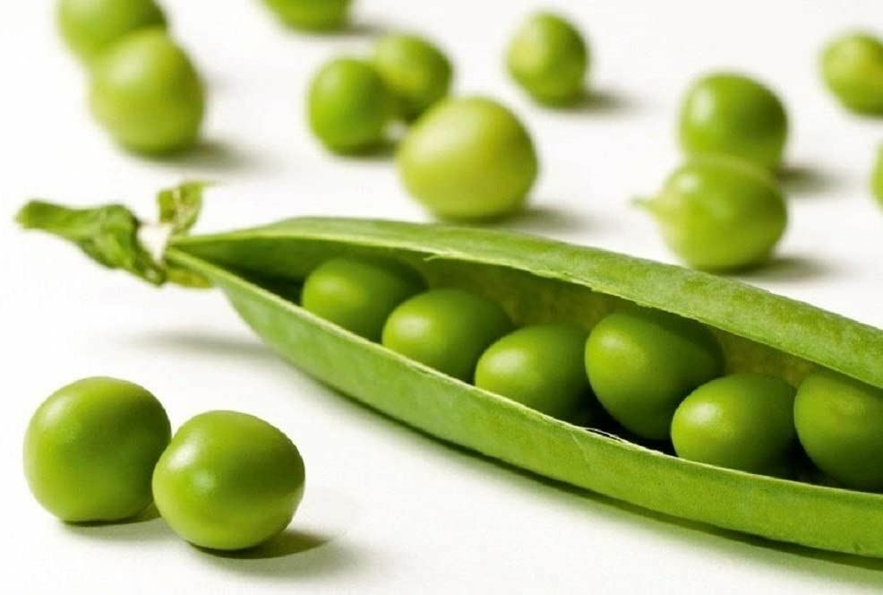 Pea Seeds,Early Alaska Pea Seeds,”COOL BEANS N SPROUTS” Brand. Heirloom. Non-GMO