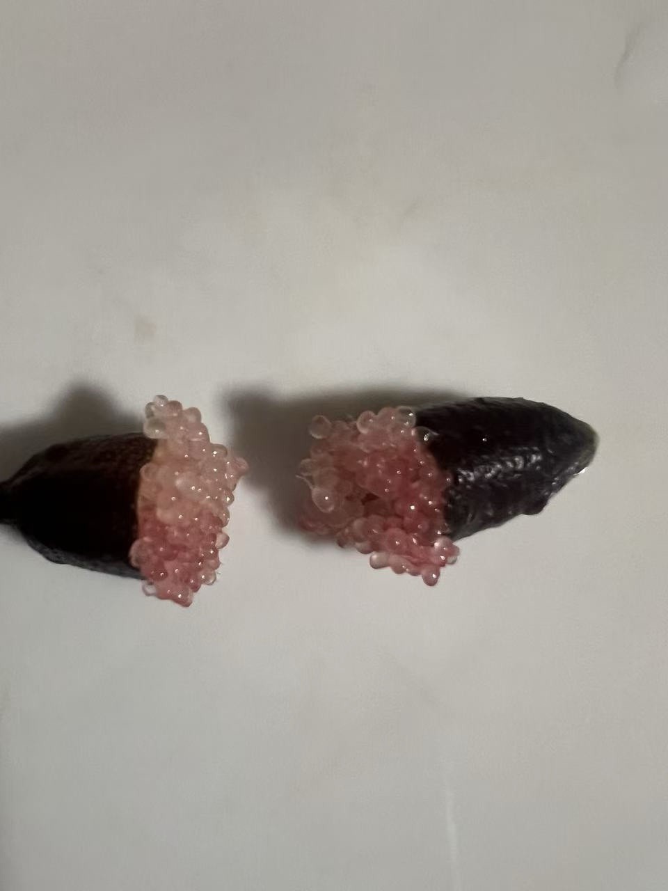 Australian Finger Lime 5 Cuttings No Root Ready To Plant