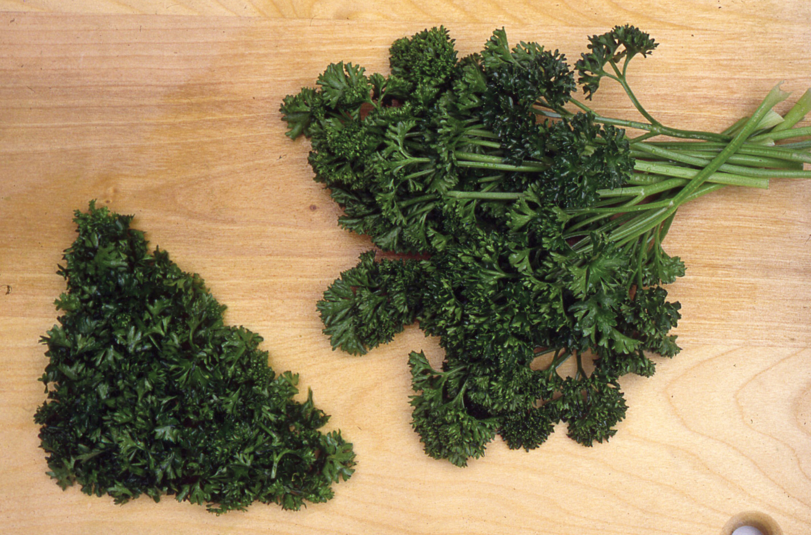 400 FORST GREEN PARSLEY – FRESH SEEDS FRESH HARVEST FOR 2024 GARDENS