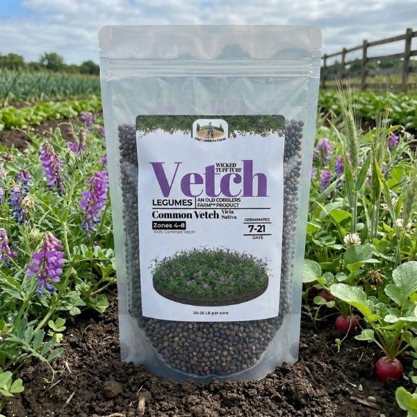 Old Cobblers Farm™ Wicked Tuff Turf Common Vetch Seed – Quick Green Cover