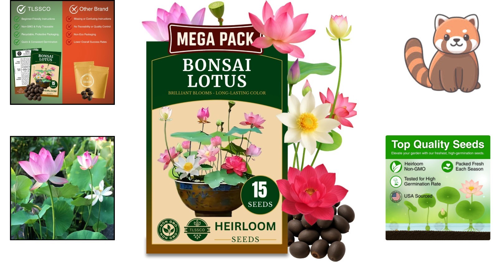 15 Non-GMO Lotus Seeds for Stunning Indoor & Outdoor Aquatic Gardens