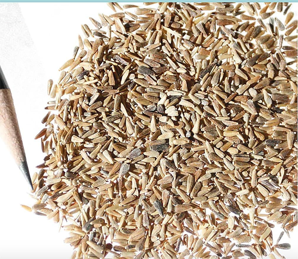 China Asters Seeds – Mixed Single Asters