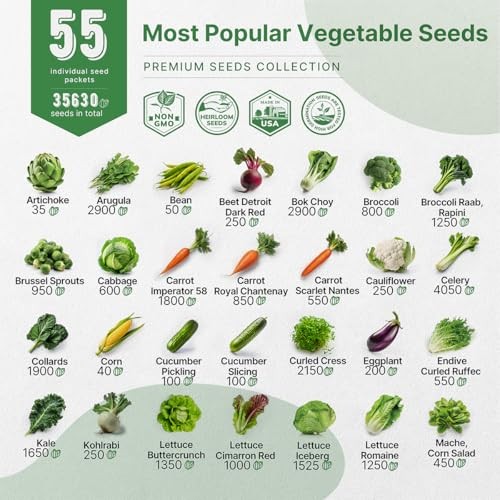 55 Vegetable Seeds Variety Pack – 35,600+ Non 55 Most Popular Vegetable Seeds
