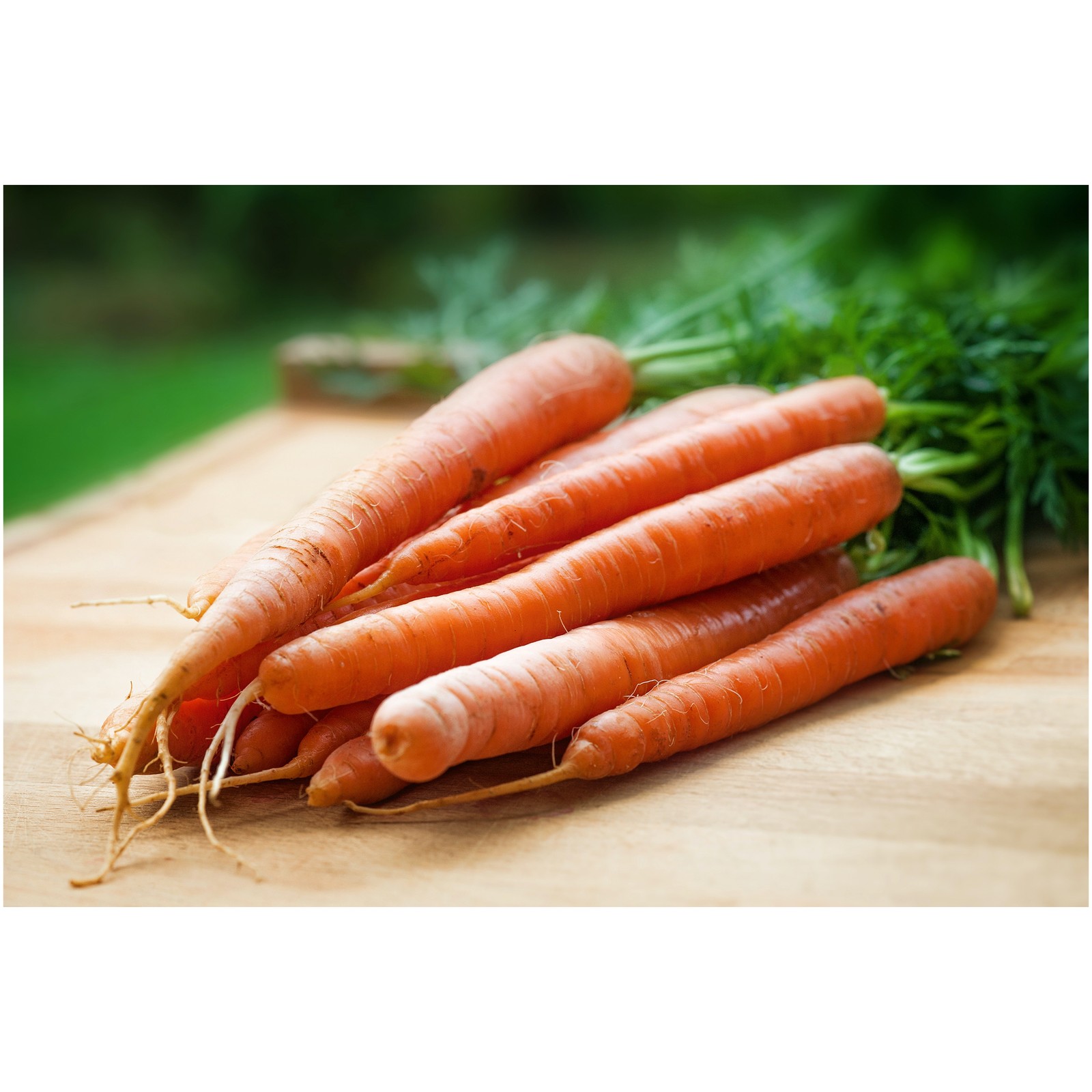200 Tendersweet Carrot Fresh Seeds Non-GMO Heirloom