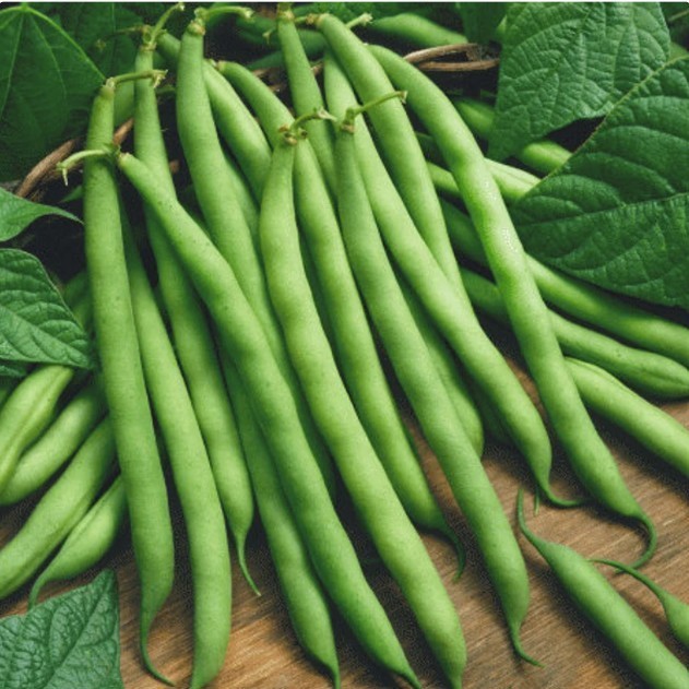 2026 Heirloom Vegetable Seeds – Premium Garden Seeds for Planting