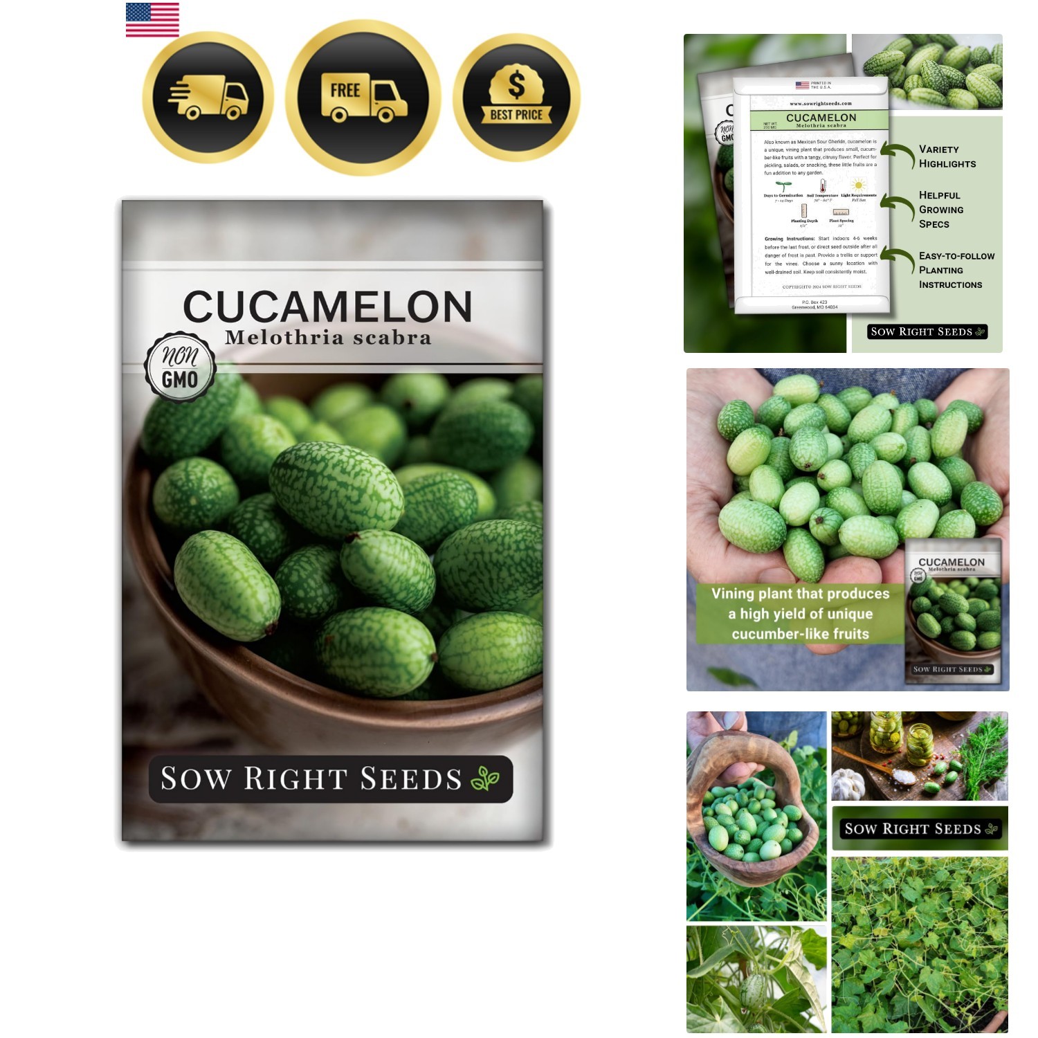 Cucamelon Seeds for Planting – Non-GMO Heirloom Packet with Instructions to P…