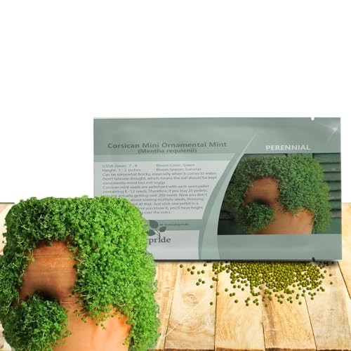 Mentha Corsican Mini Mint Seeds for Planting – 50 Pcs Pellets 50 Pellets