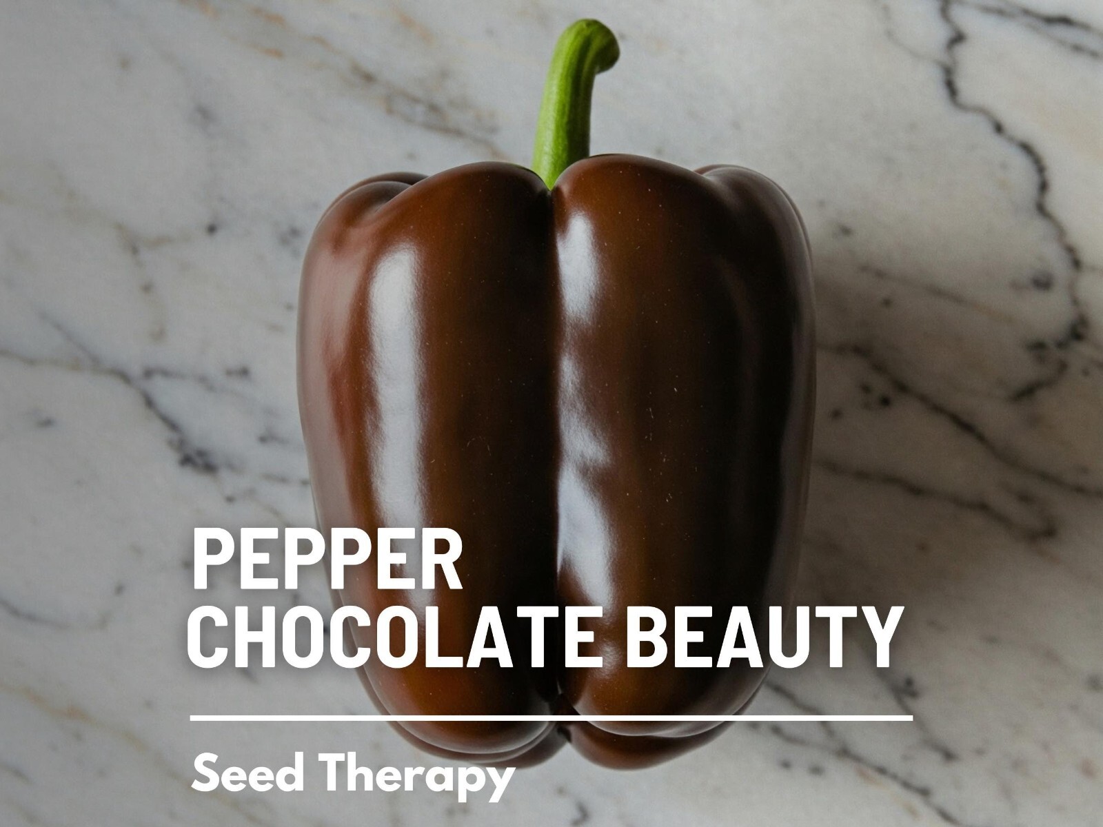 Pepper, Chocolate Sweet Bell – 30 Seeds – Heirloom Vegetable – Large Bell Pepper