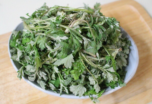 Japanese Mugwort Seeds (Artemisia princeps)