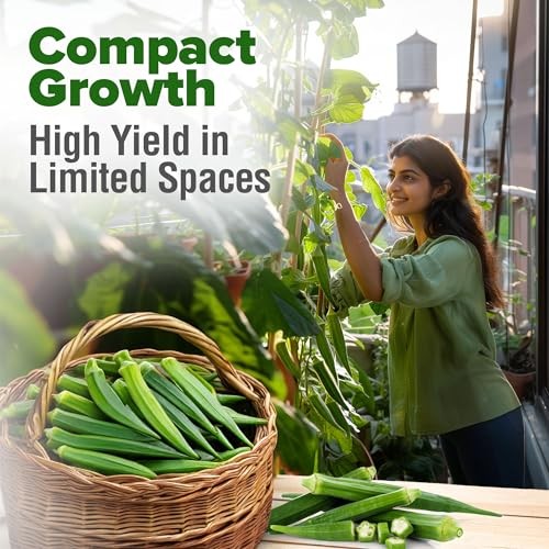 Clemson Spineless Seeds 101+ Heirloom Non-GMO Vegetable Seeds for Okra