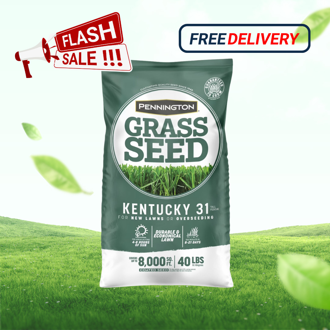 [FASH SALE] Pennington Kentucky 31 Tall Fescue Lawn Grass Seed 40 lb Sun Shade