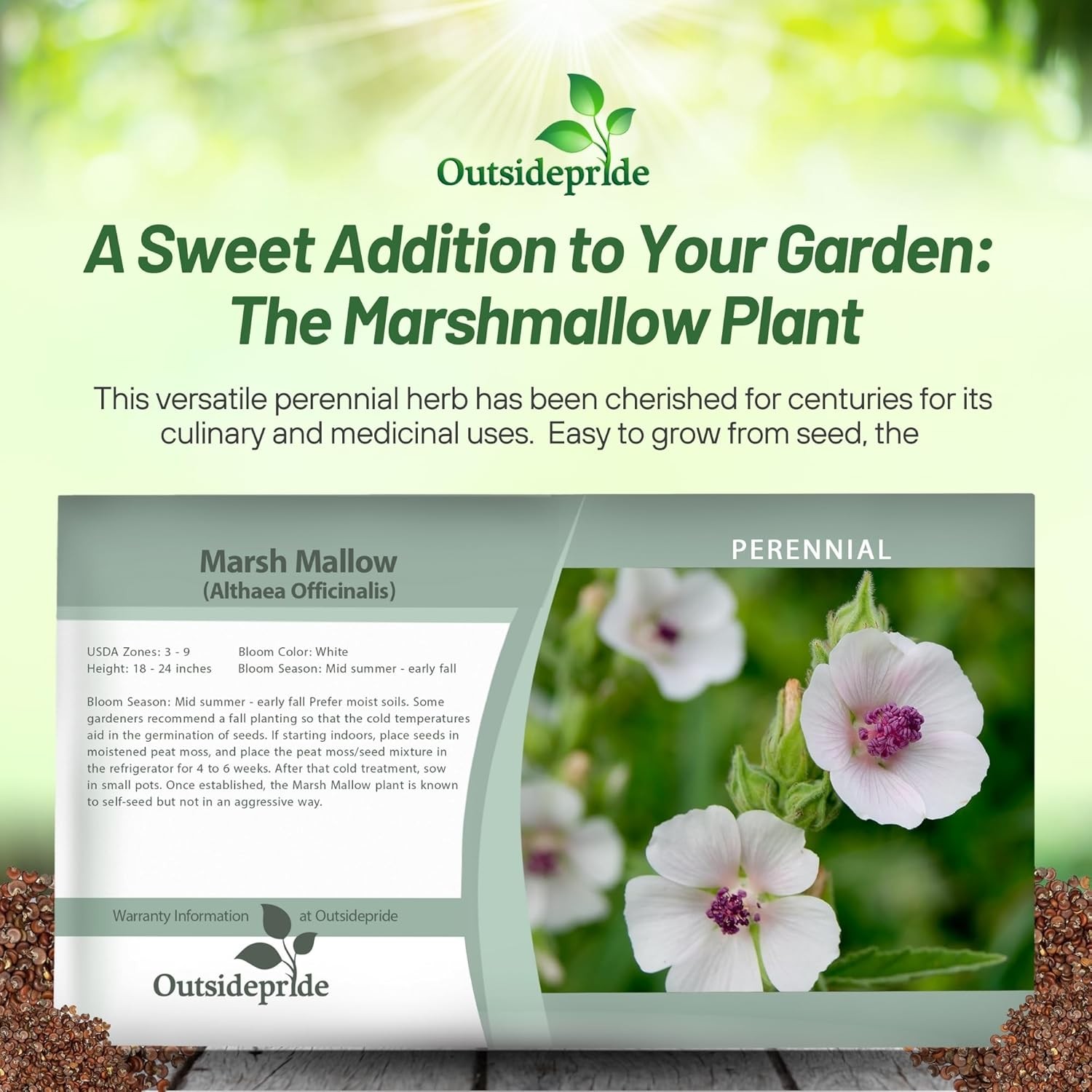 1000 Seeds Marsh Mallow Seeds For Planting – Althaea Officinalis Herb Seeds