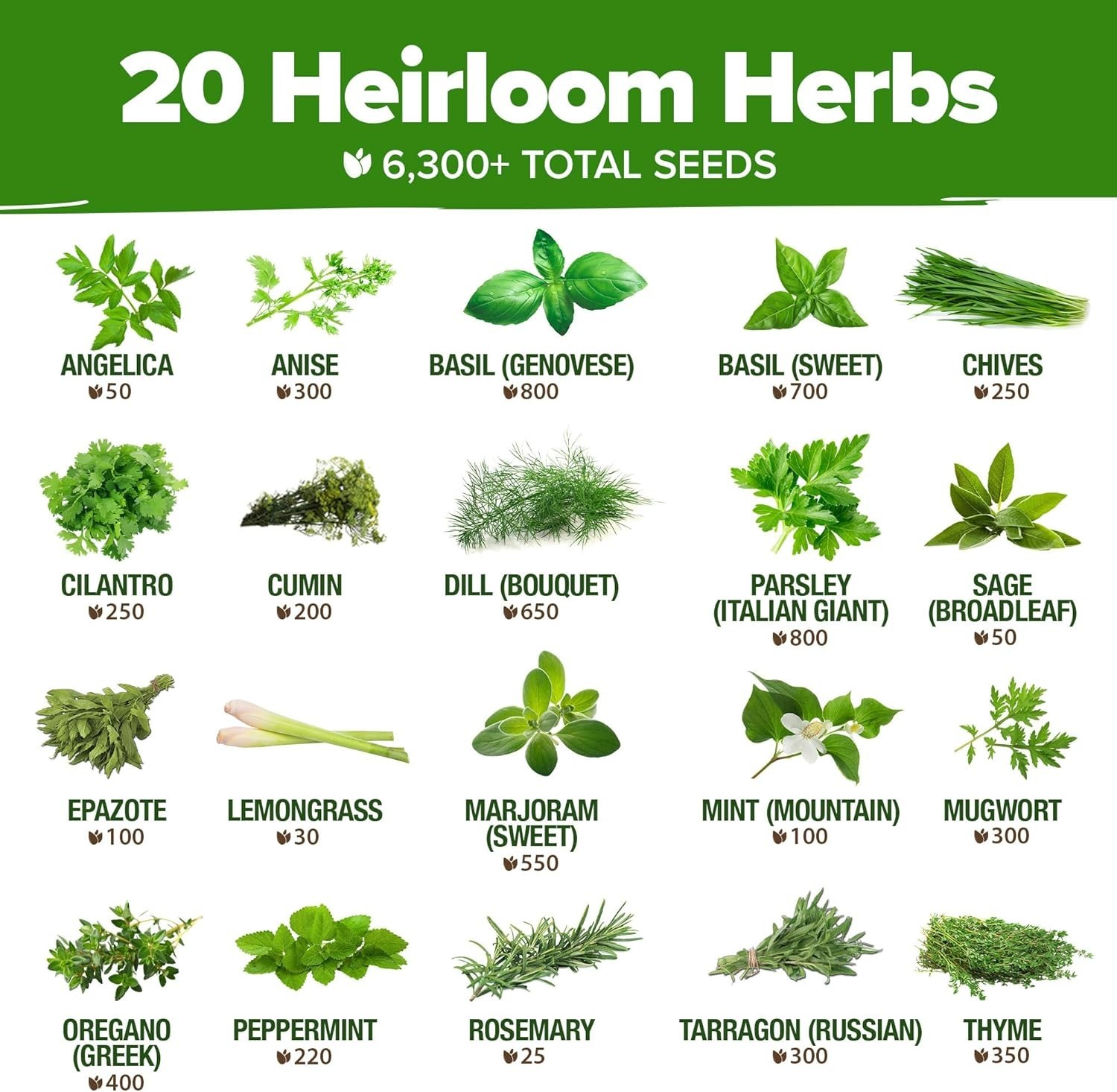 20 Culinary & Medicinal Herb Seeds – Non-GMO & Hydrophonic Friendly Variety Pack