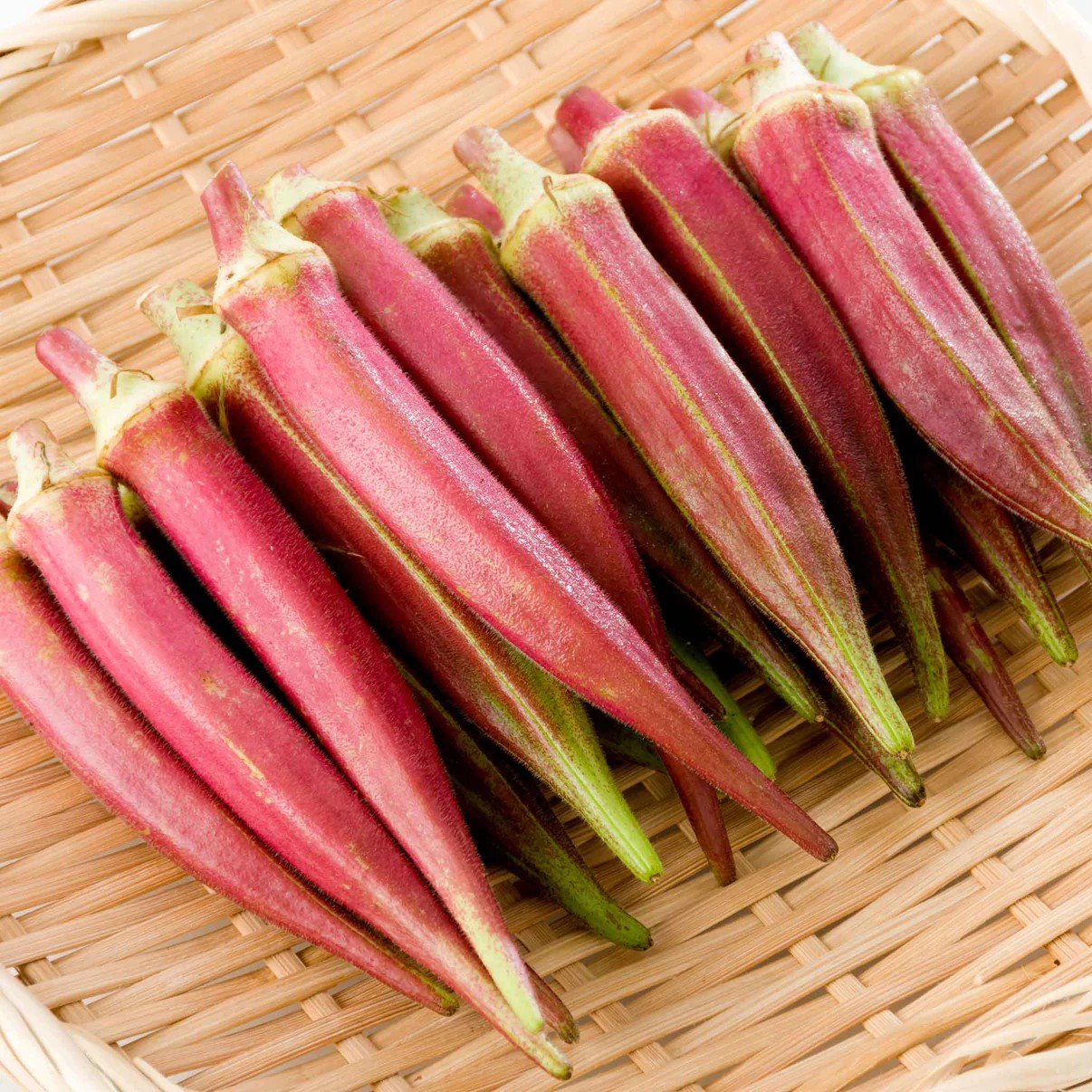 50+ Jing Orange Okra Seeds –—– Heirloom — Organic — FRESH —– RARE