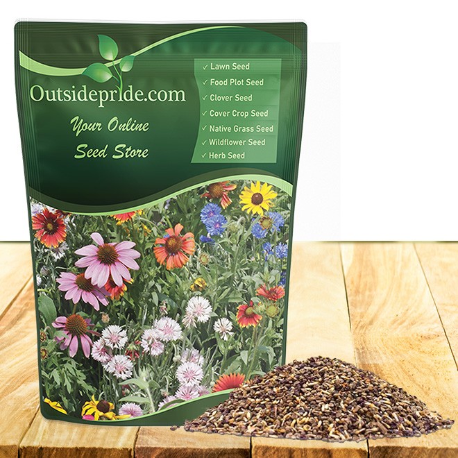 1 LB Northeast Wildflower Seed Mix For Planting Outdoors