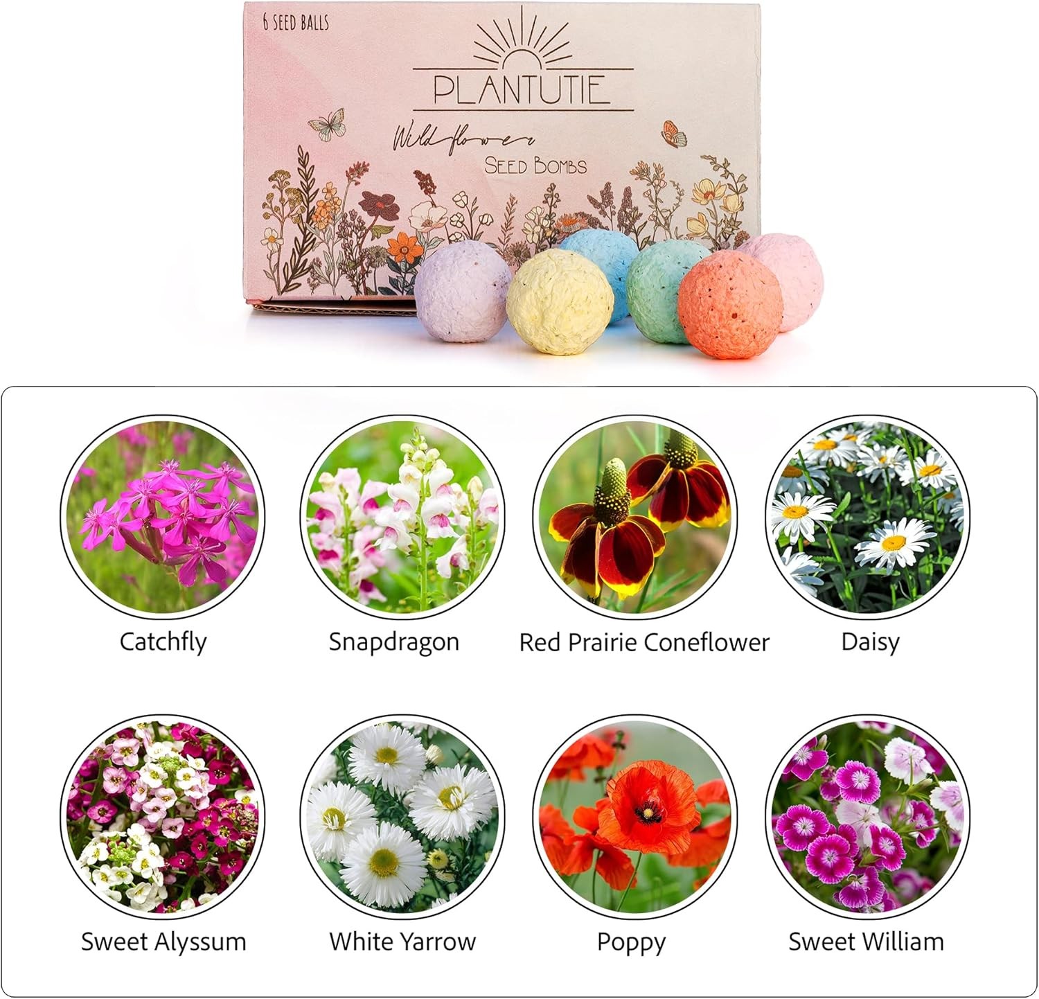 Wildflower Seed Bomb Gift Box – 6 Colorful Hand Rolled Seed Balls for Easy Gar