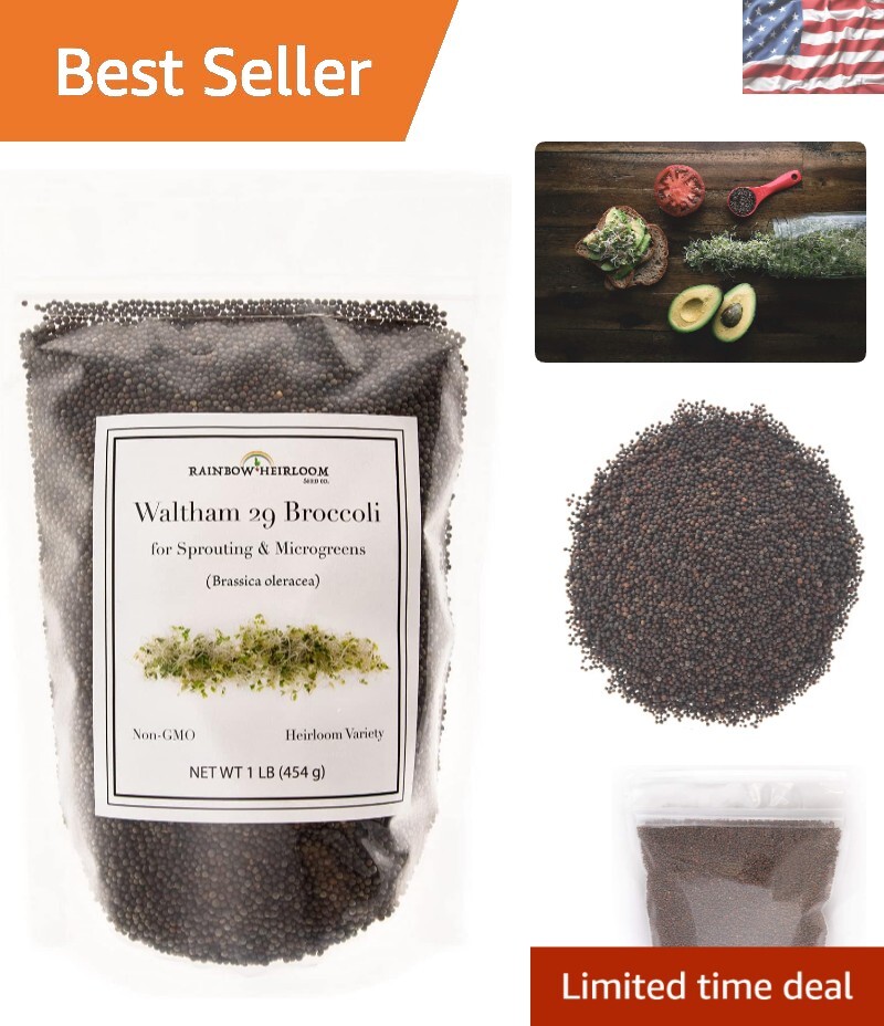 Nutritious Broccoli Sprouting Seeds – Heirloom Waltham 29 1LB Resealable Bag