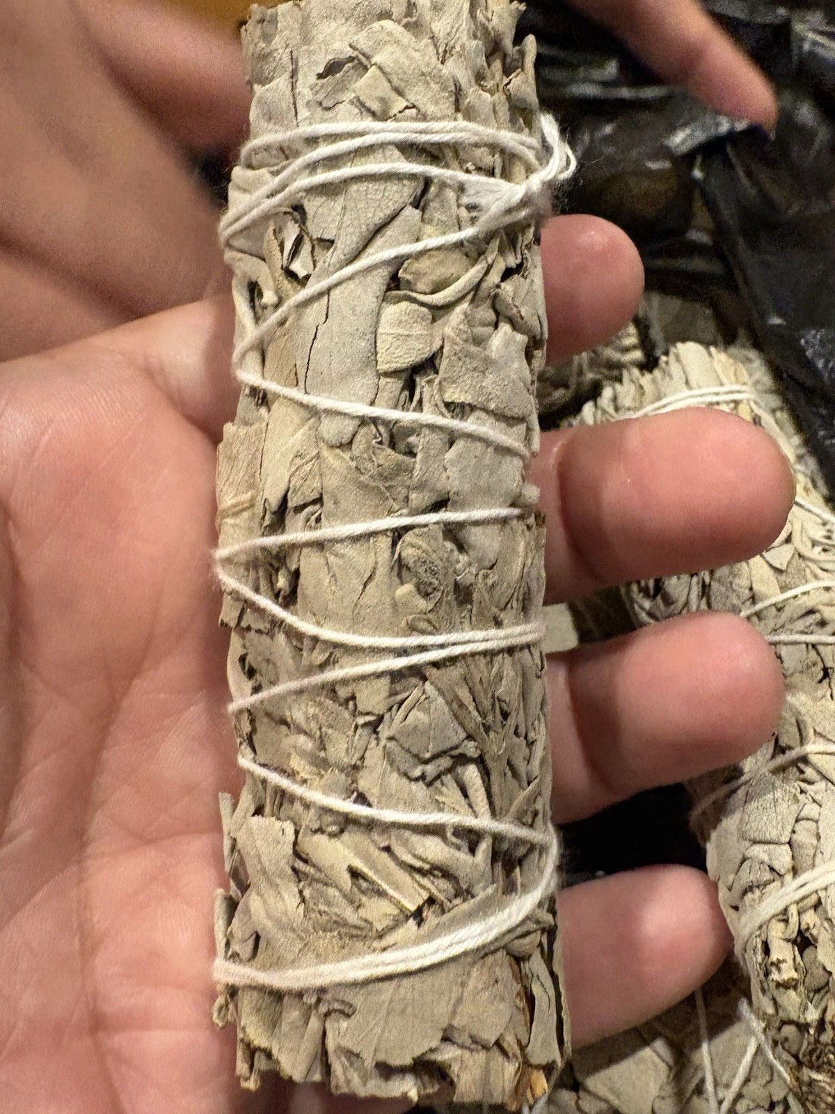 Mexican Sage 1 count For Cleansing and Aroma