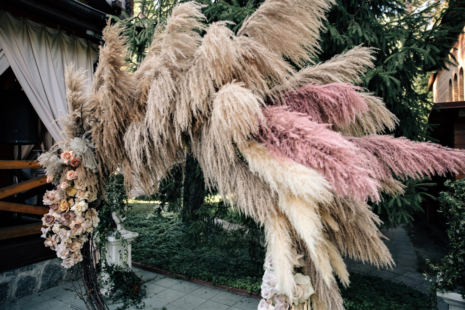 200 Ornamental PINK PAMPAS GRASS Cortaderia Selloana Rosea Seeds