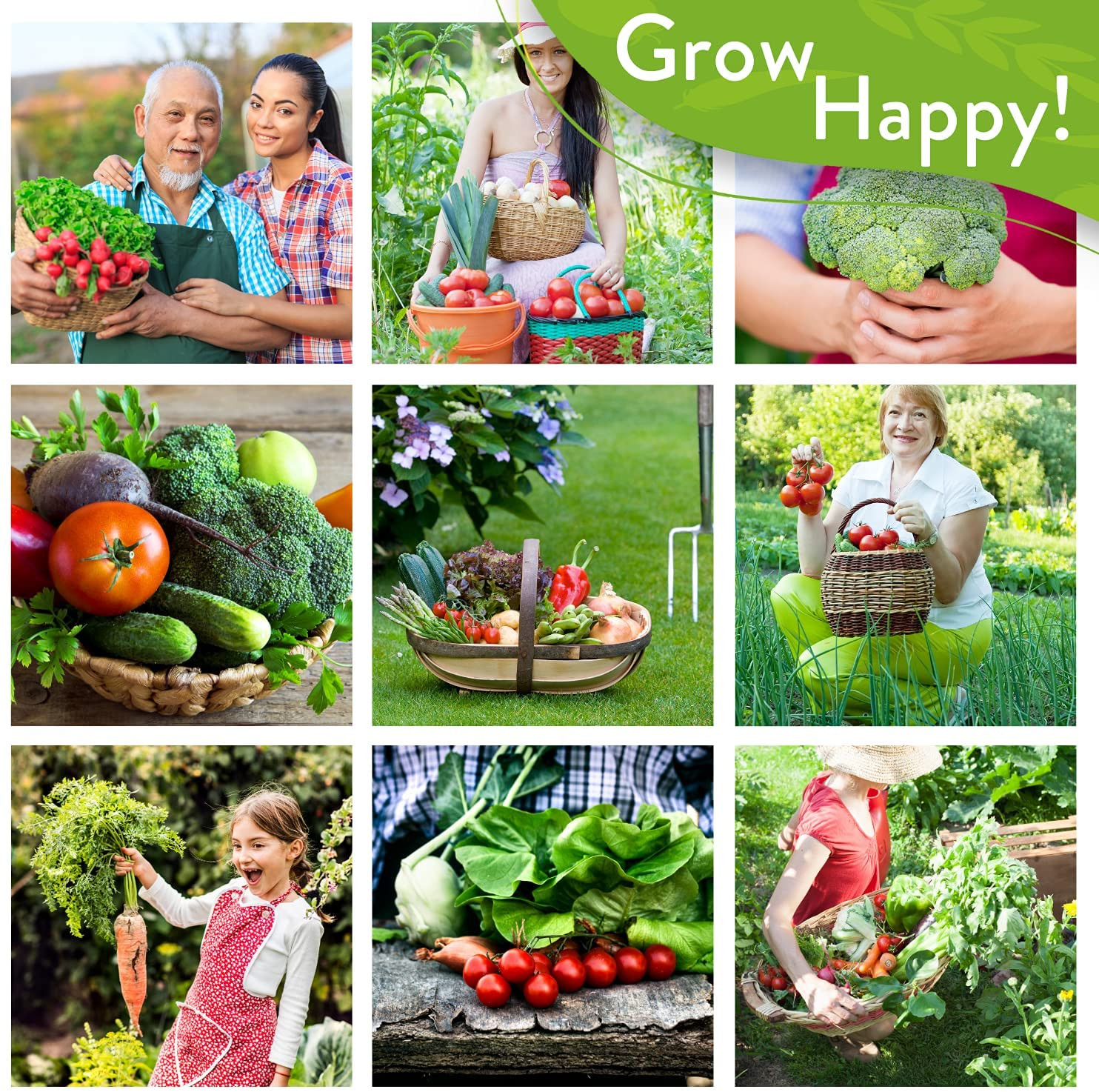 Lettuce & Salad Greens Seed Vault – 1200+ Non-Gmo Vegetable Seeds for Outdoors o