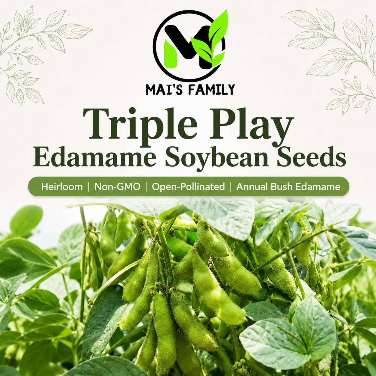 Triple Play Edamame Soybean Seeds Heirloom Non-GMO Open-Pollinated 75 Days