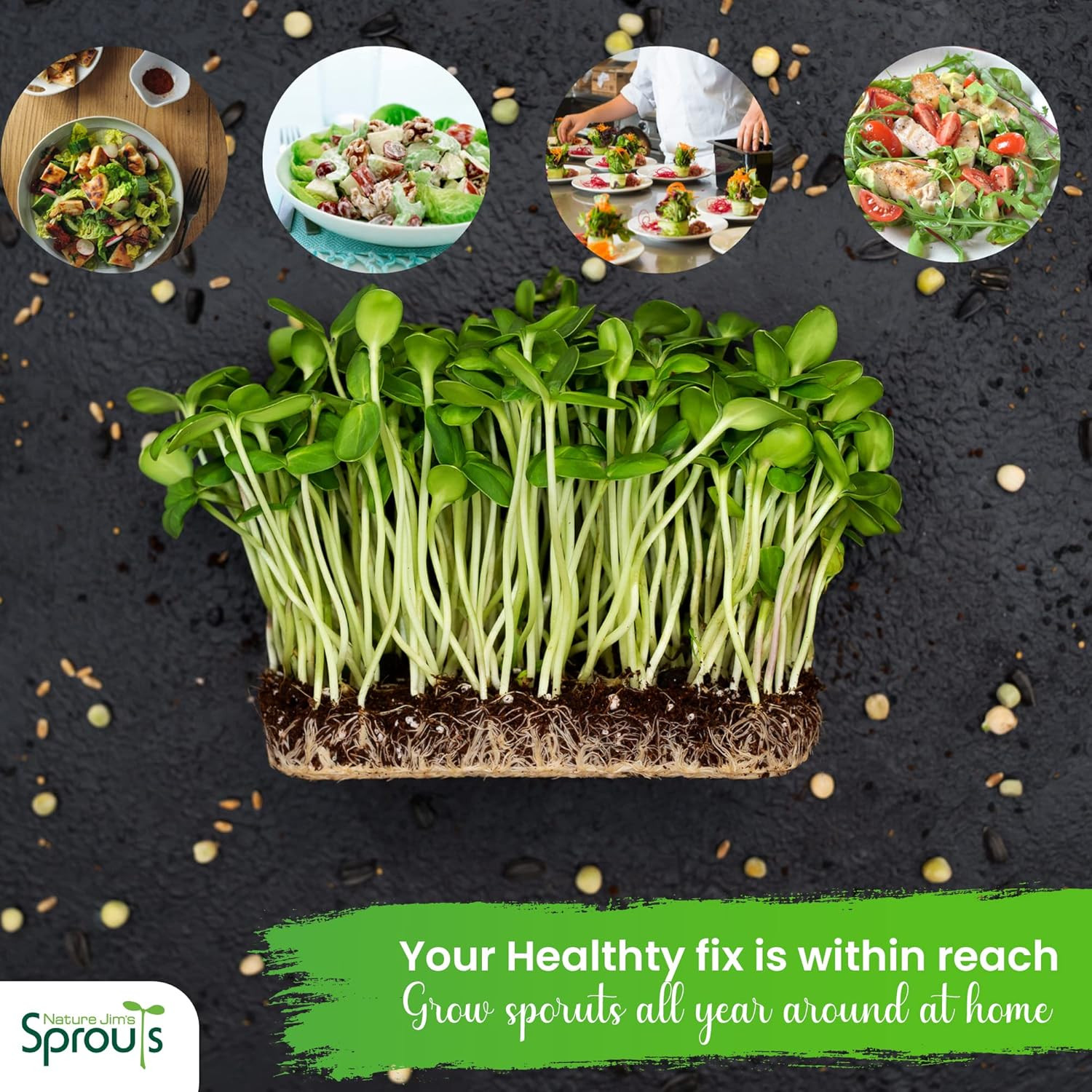 Salad Sprout Mix – Organic Salad Mix for Growing – Non-Gmo Microgreen Seeds – He