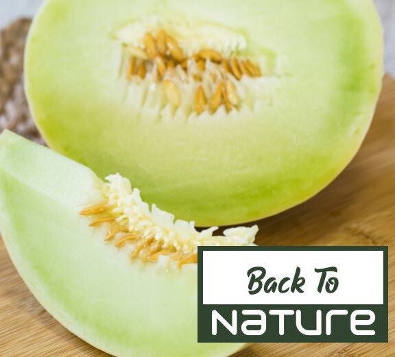 Honey Dew Melon – Sweet & Delicious – Non Gmo – Fast Shipping – Fast Growing