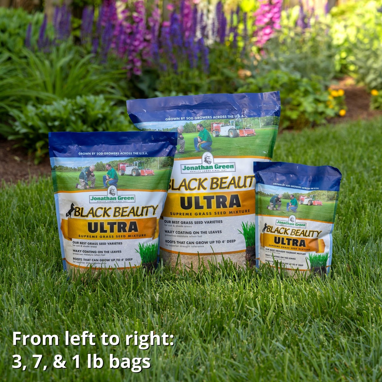 Jonathan Green (10322) Black Beauty Ultra Grass Seed – Cool Season Lawn Seed …