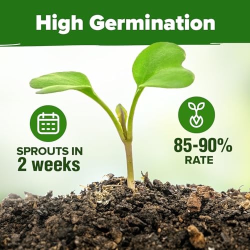 Herb Seeds 32 Medicinal Herbs and Tea Variety Pack – Annual & Perennial Herb