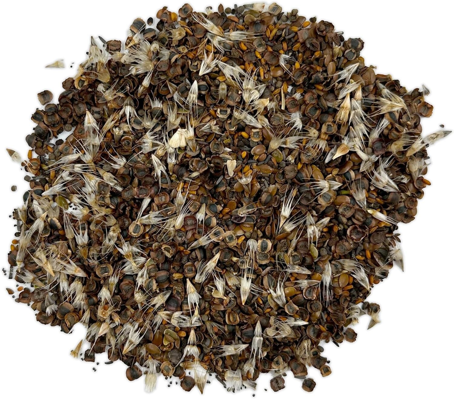 Dwarf Rainbow Colors Mix Bulk Wildflower Seeds, 1Lb