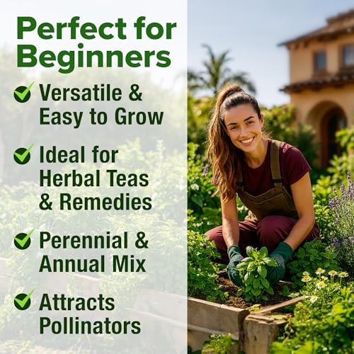 Herb Seeds 32 Medicinal Herbs and Tea Variety Pack – Annual & Perennial Herb