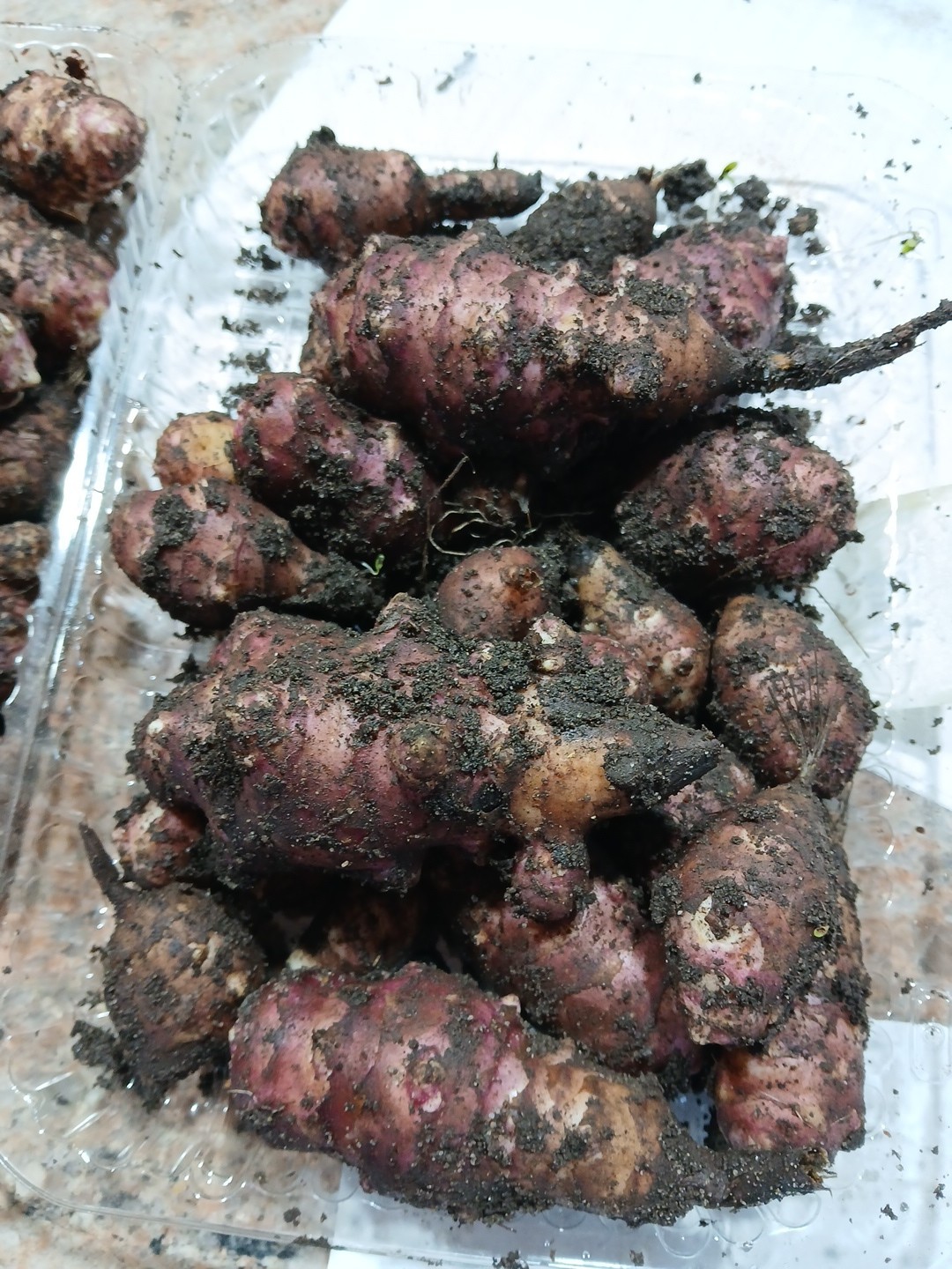 1 LB Tubers Premium Organic PINK Jerusalem Artichoke (Sunchoke), Plant Or Eat!