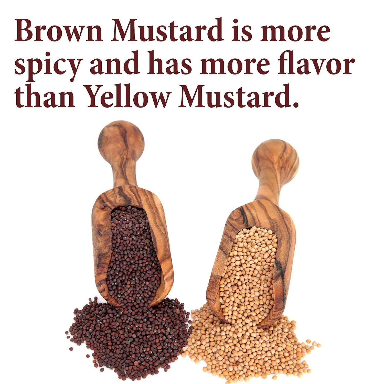 Brown Mustard Seeds – Whole Seeds, 8 Oz
