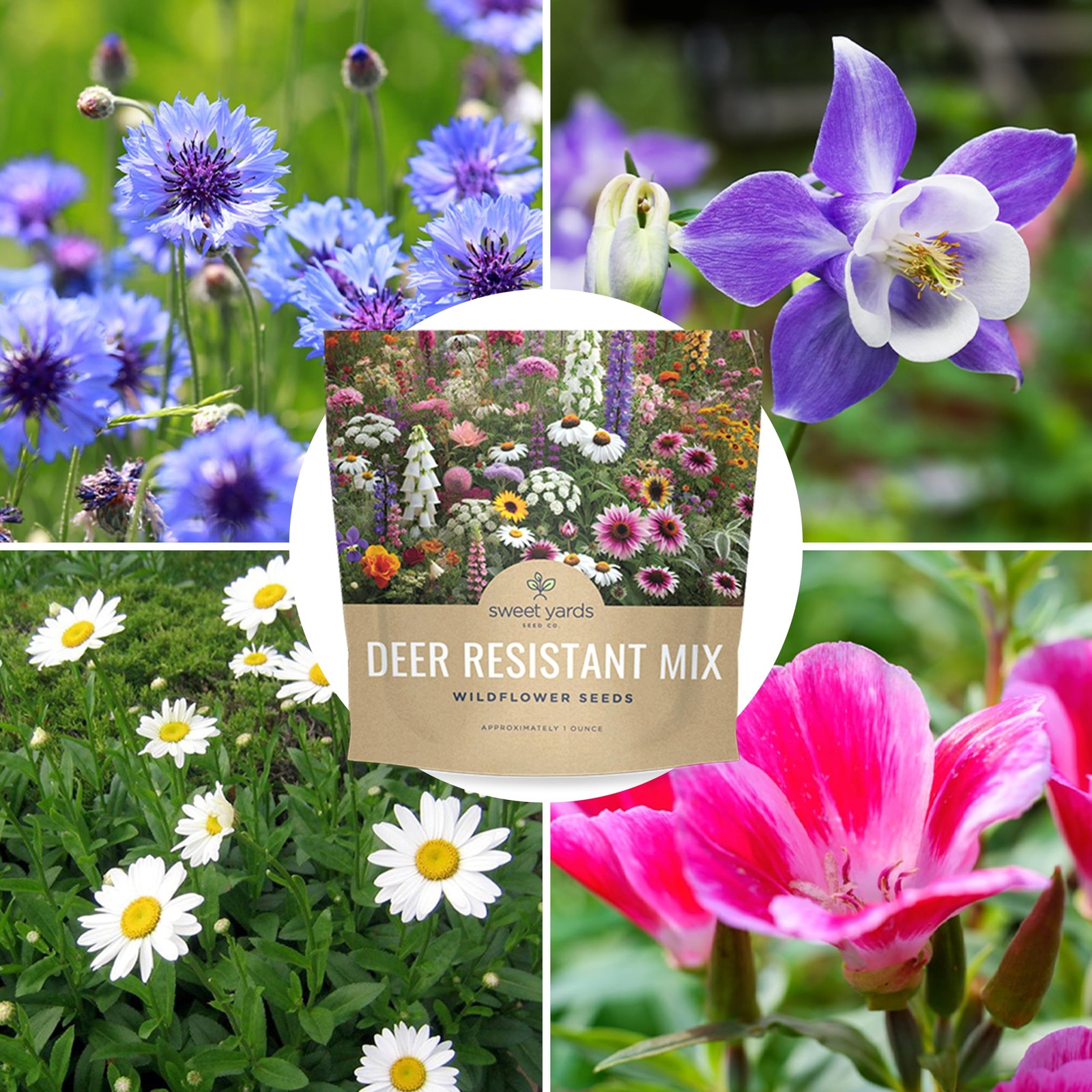 Deer Resistant Wildflower Seed Mixture – Bulk 1 Ounce Packet – Over 15,000 De…
