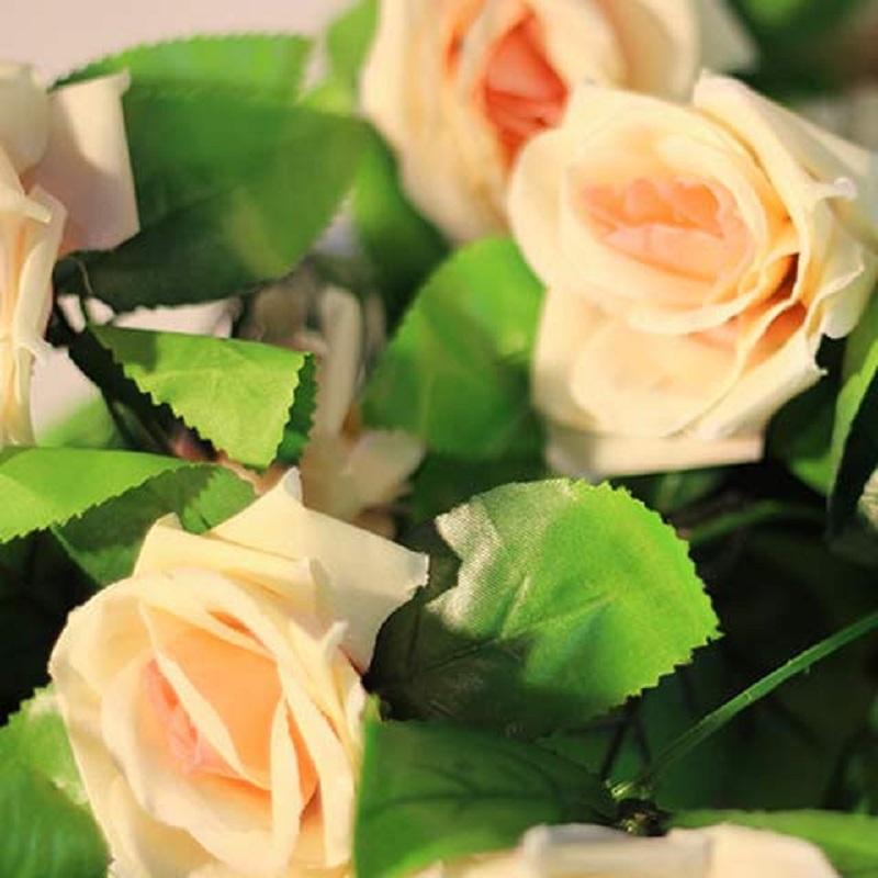 Champagne Climbing Rose Rose Bush 20 or 100 Seeds~Rare-Free Shipping-USA Seller