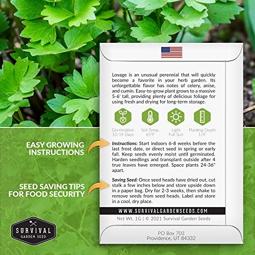 – Lovage Seed for Planting – Packs with Instructions to Plant and Grow 2