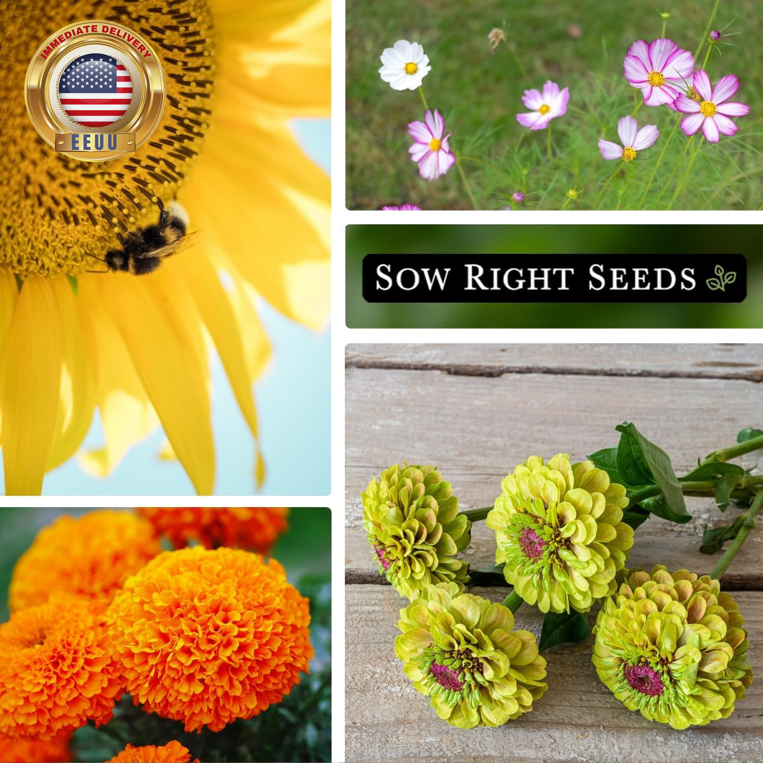– Annual Flower Seed Garden Collection for Planting – 5 Packets Includes Marigol