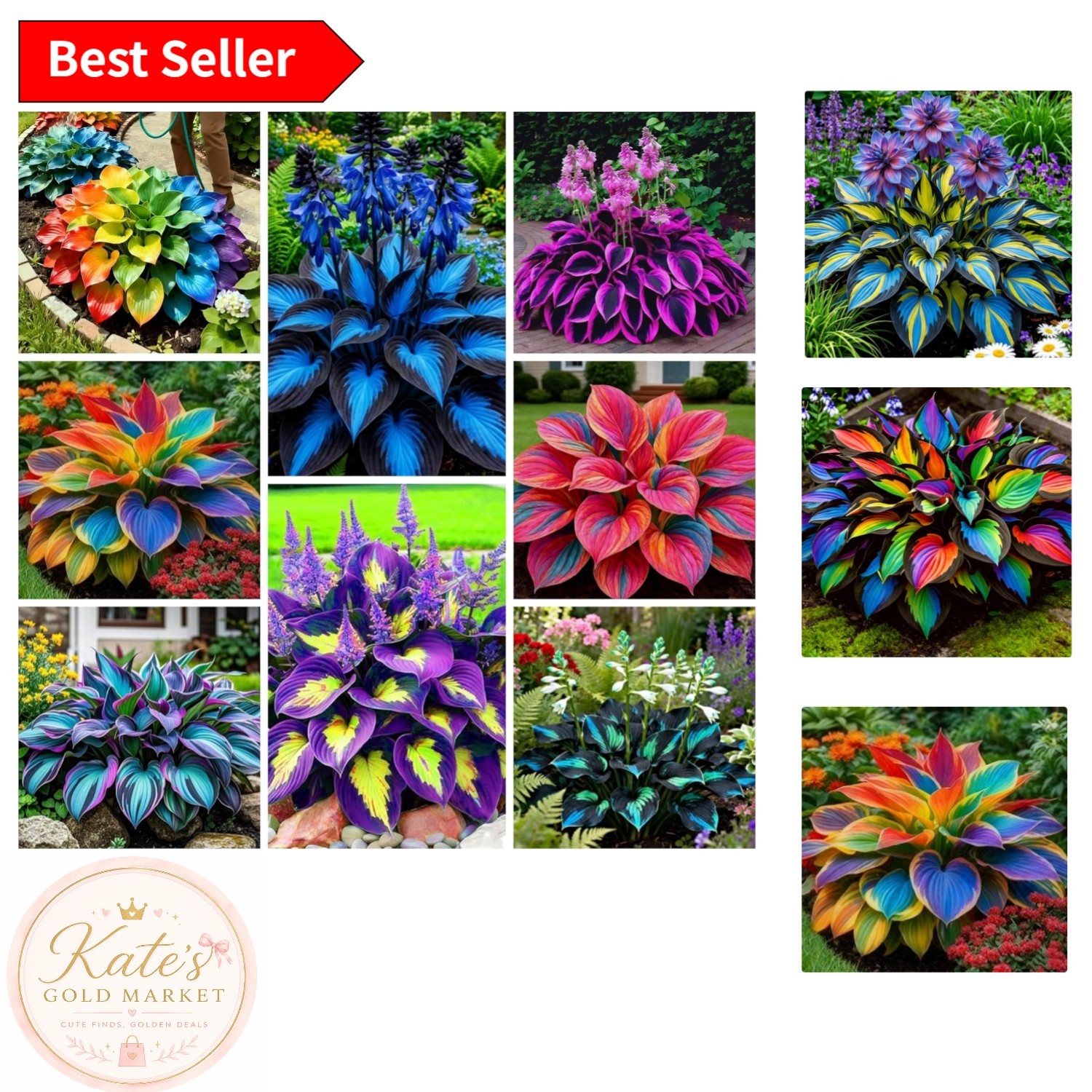 Attract Pollinators with 290+ Low Maintenance Hosta Seeds – Perfect for Gardens
