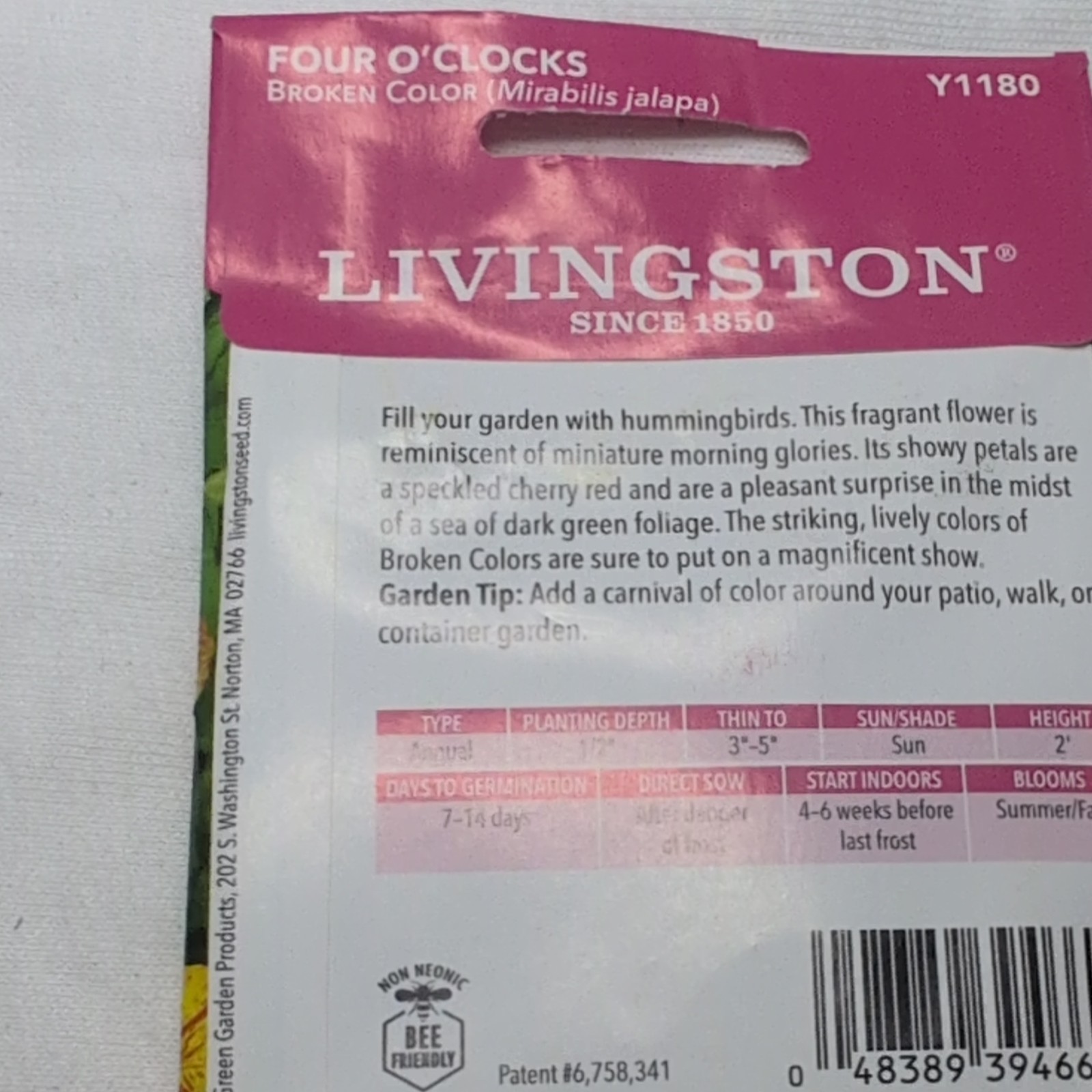 Livingston Four O’Clocks Annual Multicolor Fragrant Flower Seeds Full Sun Y1180