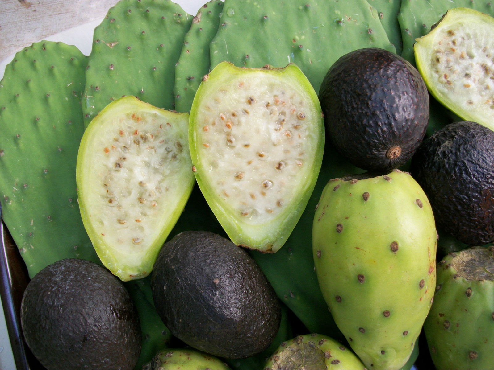 GIANT WHITE OPUNTIA PRICKLY PEAR NOPAL SPINELESS CACTUS-JUICY & SWEET 10 SEEDS