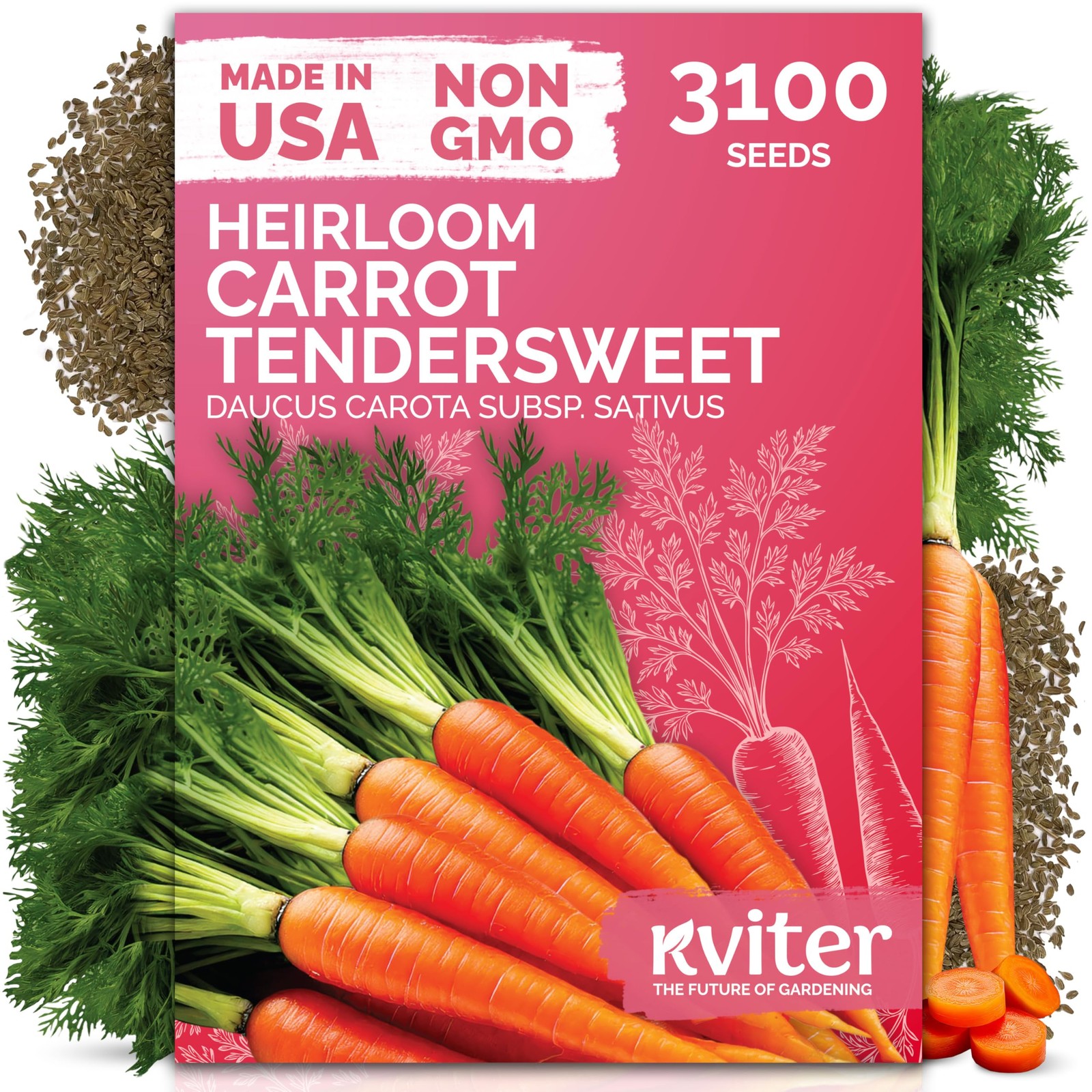 3100 Tendersweet Carrot Seeds for Planting Daucus carota –Non GMO Vegetable S…