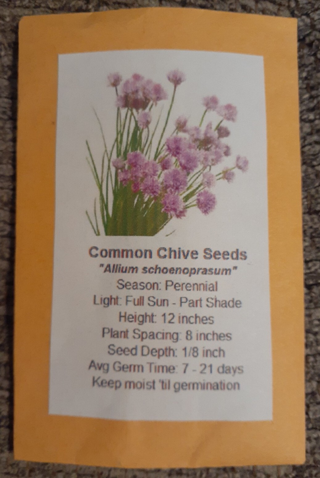 Common CHIVES Onion 200+ Seed Organic Perennial Herb Vegetable Homegrown USA🇺🇸