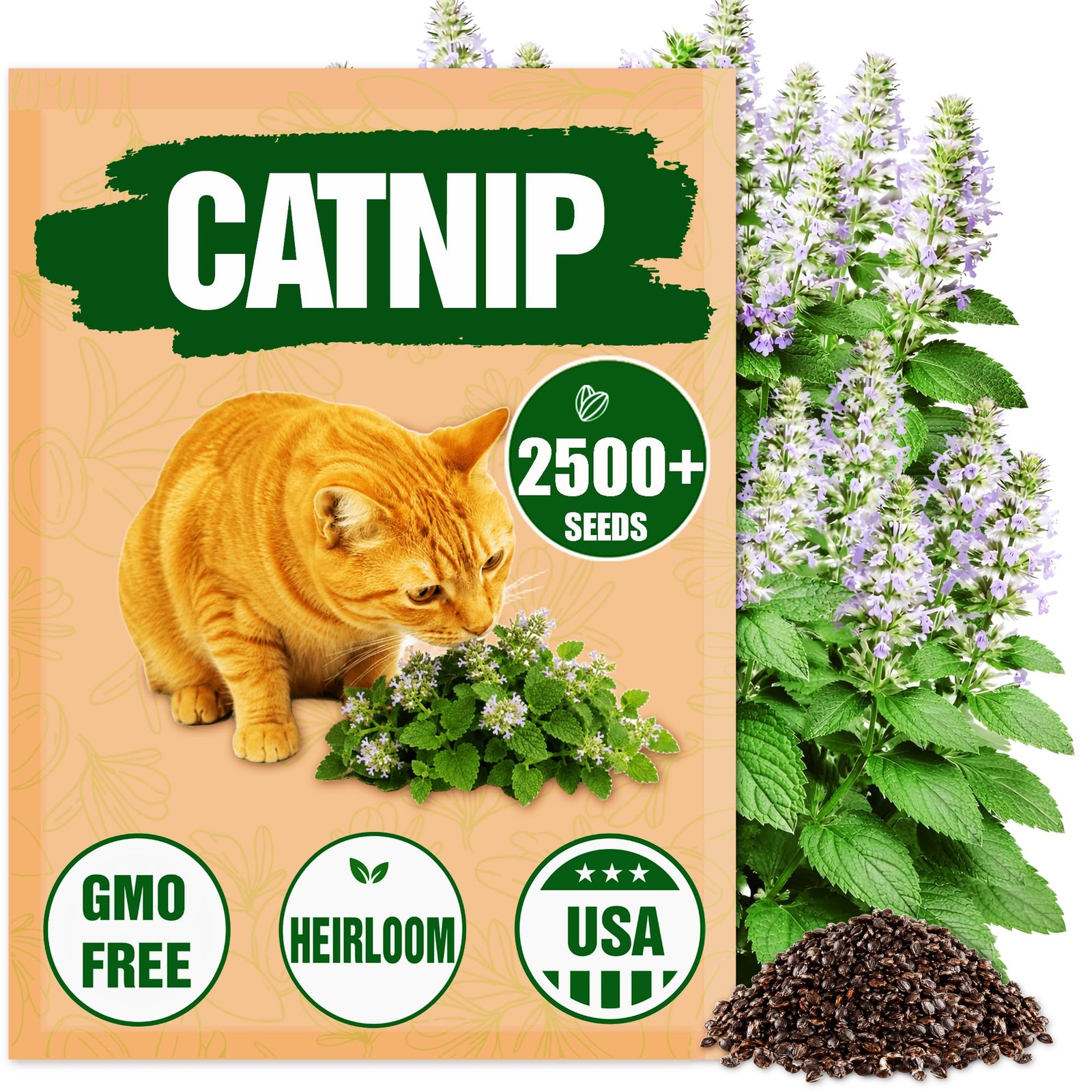 Premium Catnip Seeds for Planting Nepeta cataria – 2500+ Heirloom, Non GMO Ca…