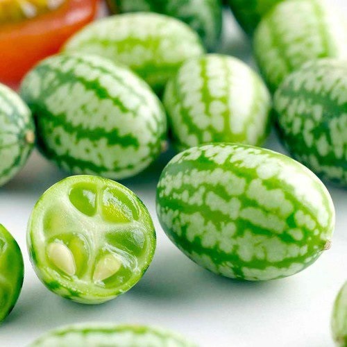 25+ Cucamelon, Mousemelon Seeds / Edible Fruit / Melothria Scabra