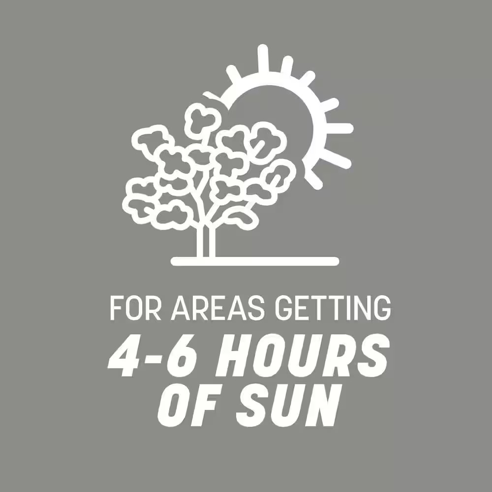 Northern Contractors Seed Mix 40 Lbs. 8,000 Sq. Ft. Grass Seed