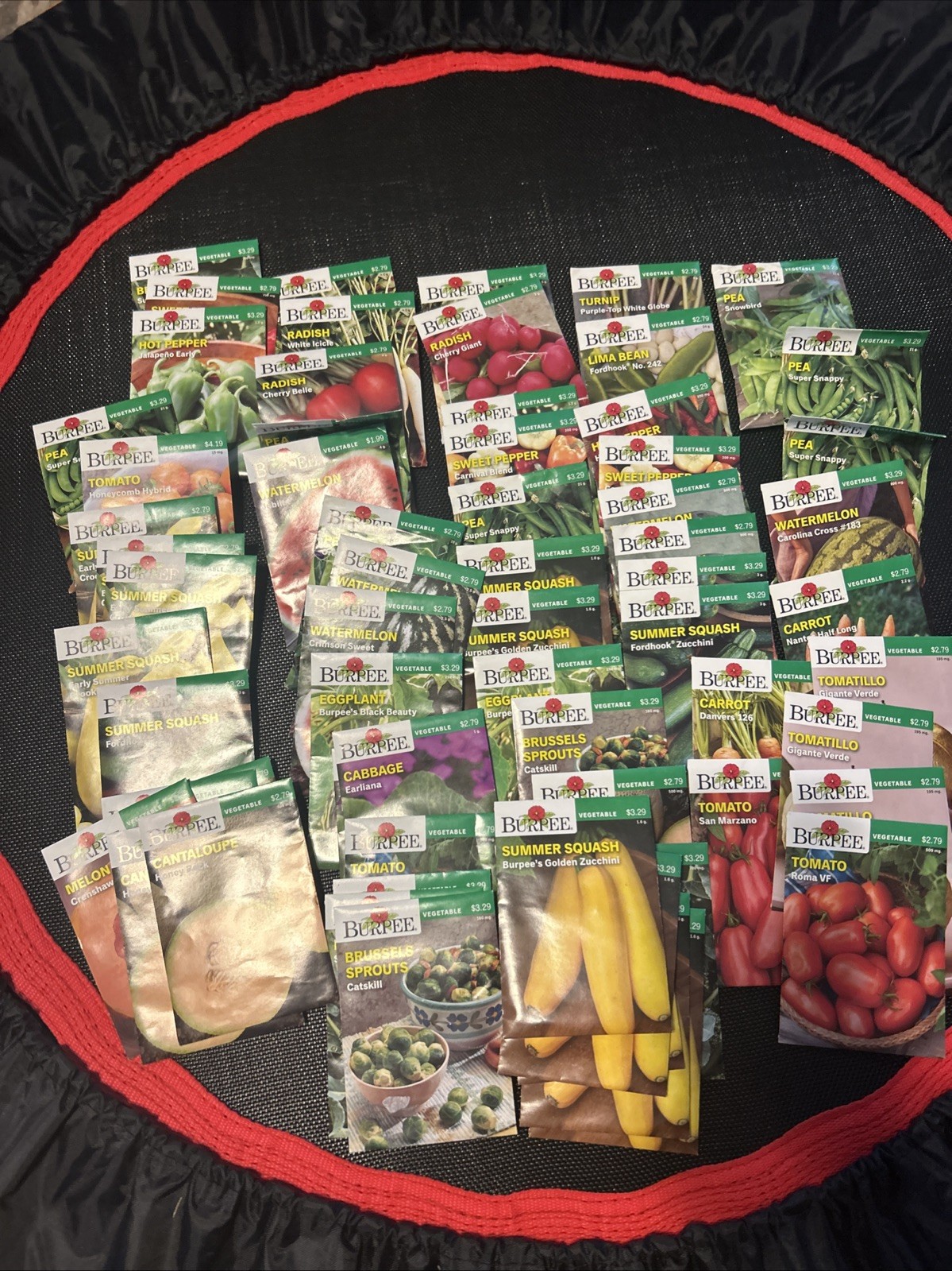 Burpee Garden Seeds 70 Packs Assorted Fruit And Vegetable Seeds