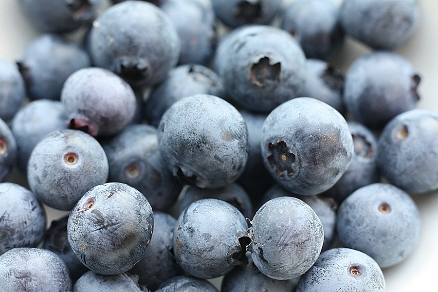 * SOUTHERN BLUEBERRY SEEDS * EVERGREEN SHRUB * HIGH TOLERANCE TO HEAT *
