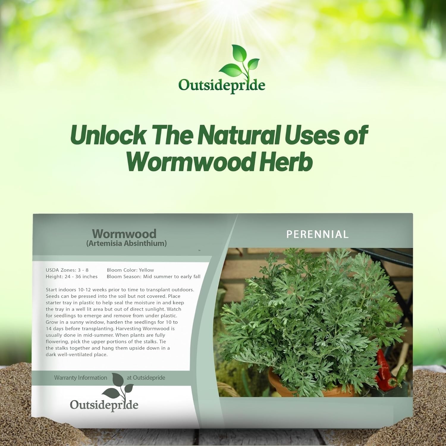 Low-Maintenance Wormwood Seeds – 5000 Pcs for Wildlife-Friendly Gardens