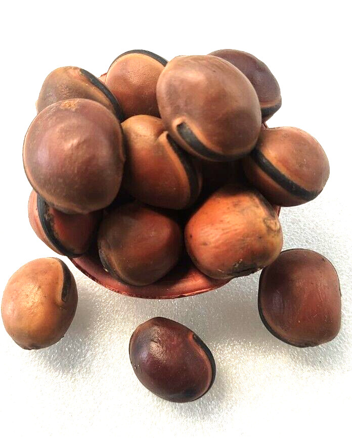 Natural AT3 seed | Marbles, At3 For African Spirituality (3 Seed/At3 ) Small Nt3