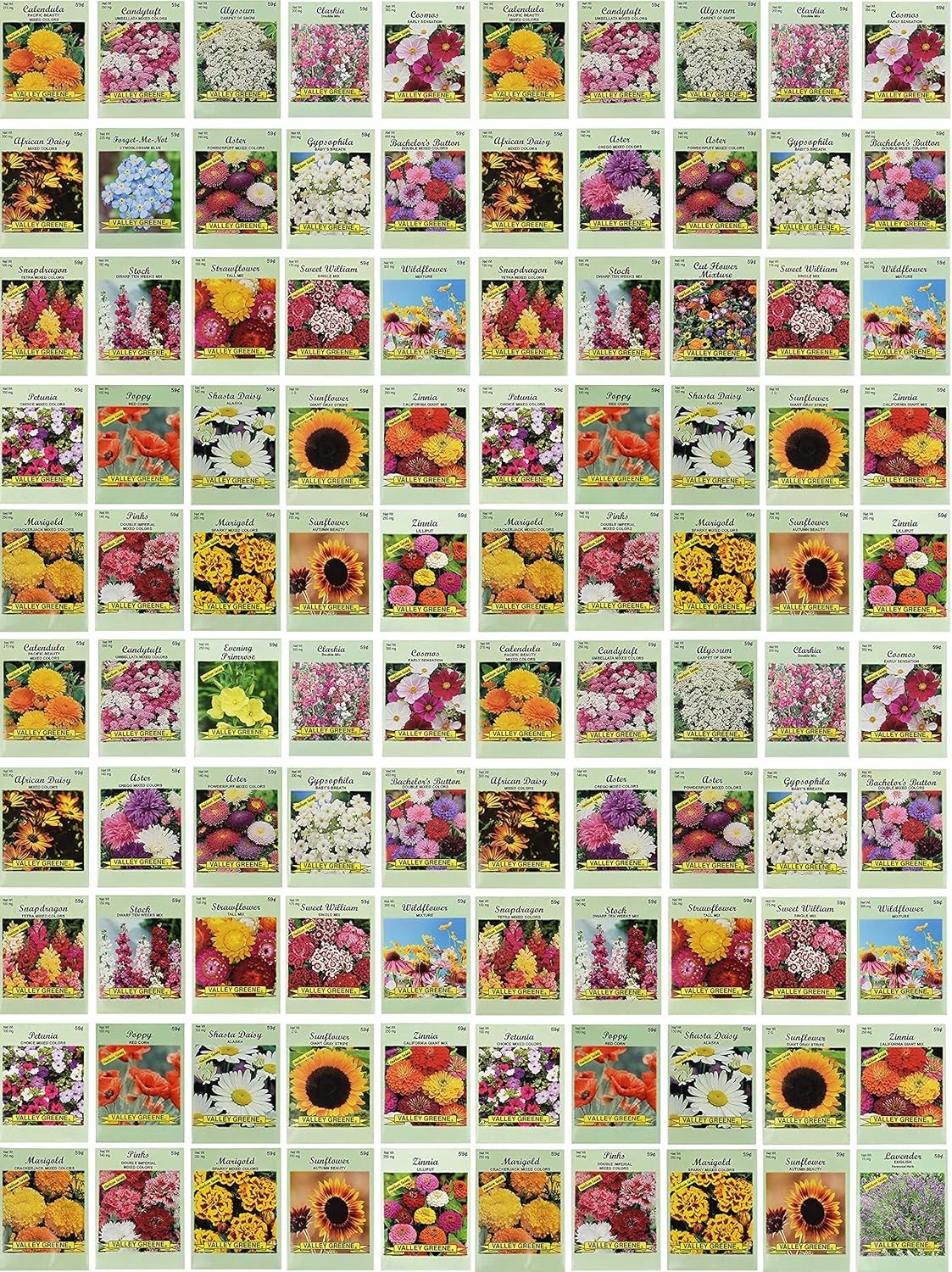 Summer Blooming Flower Seed Packets – 100 Count with Diverse Varieties